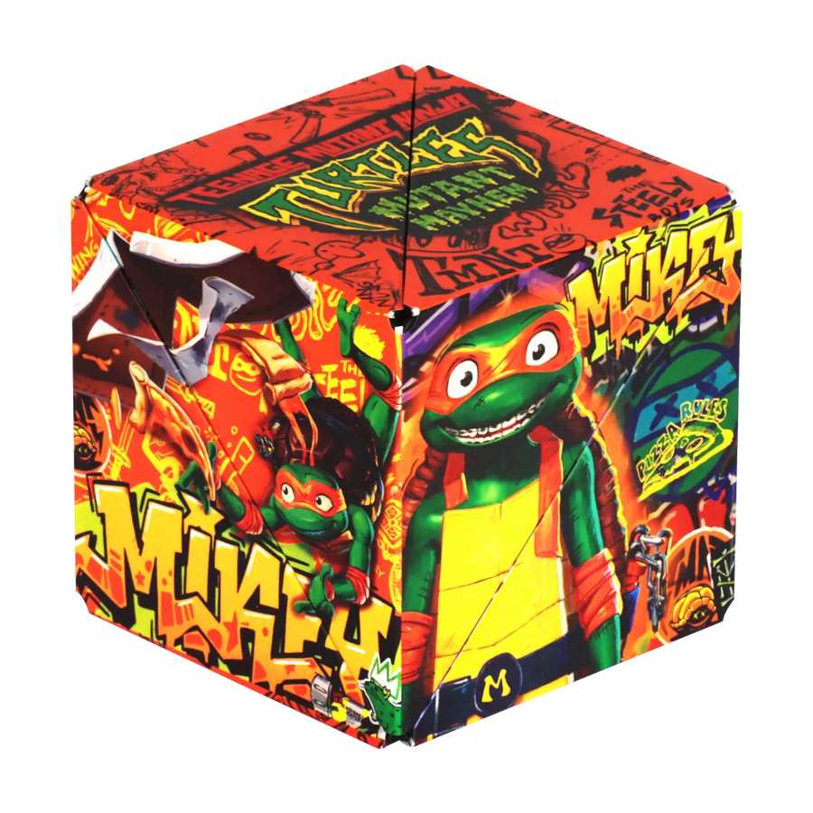 TMNT Series M6